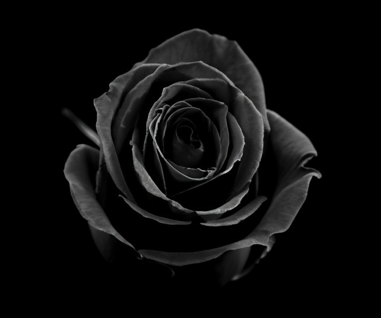 Foto von Allec Gomes von Unsplash